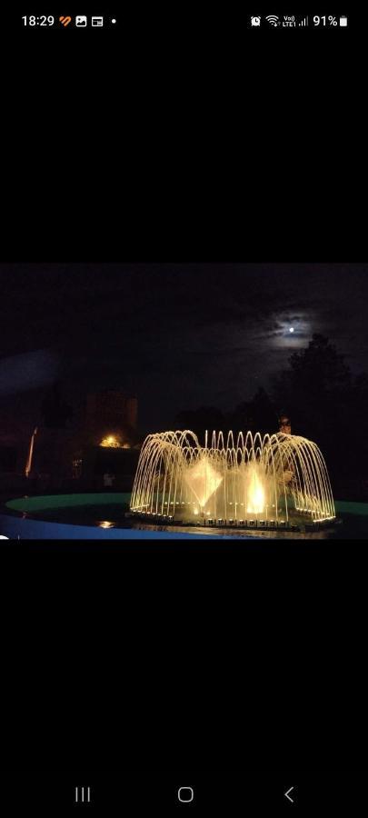 Casa Cojocaru Bed and Breakfast Turnu Măgurele Buitenkant foto